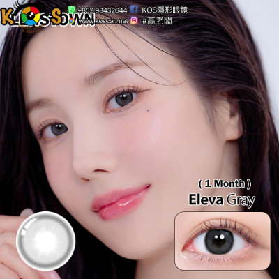Lenstown Eleva Gray 엘레바 그레이